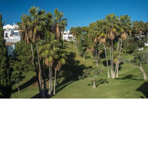 Casablanca 31 El Oasis Capistrano