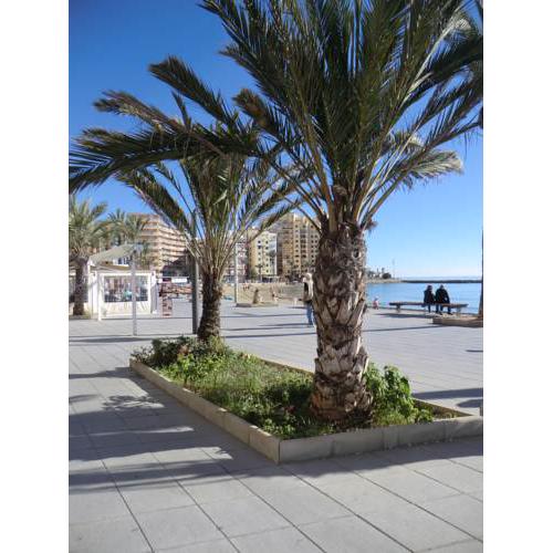 Casas Holiday - Playa del Cura 2