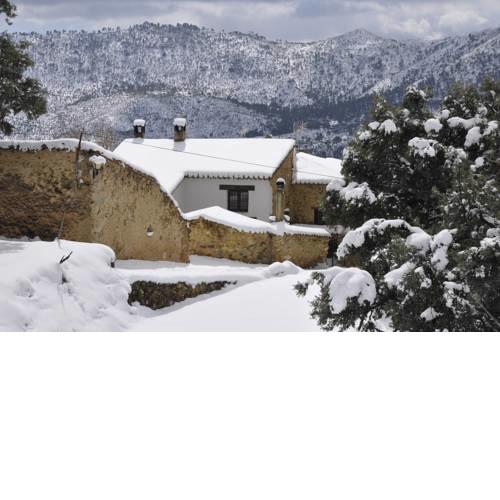 Casas Rurales Tio Frasquito y Cleto