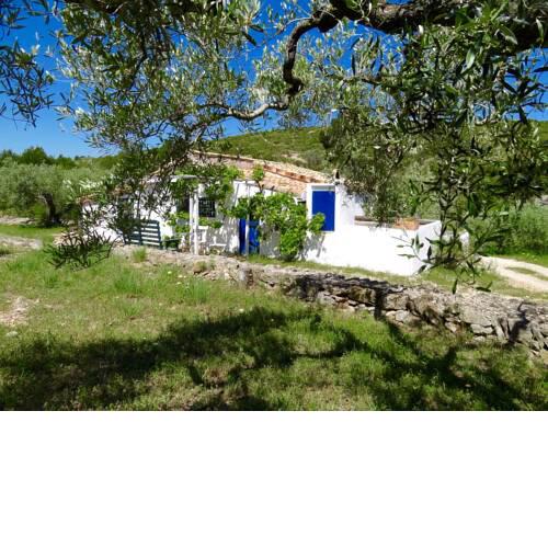 Casita Blanca