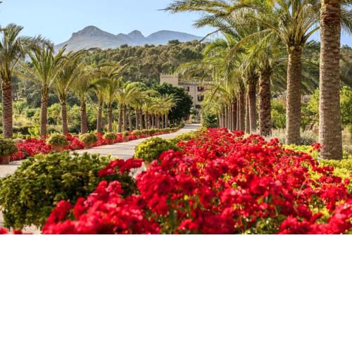 Castell Son Claret - The Leading Hotels of the World