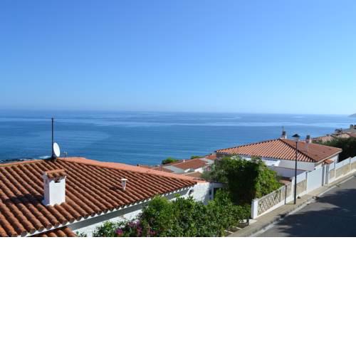 CAU DEL LLOP 1