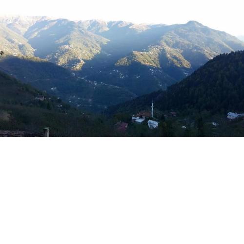 Çaykara Dağ Evi