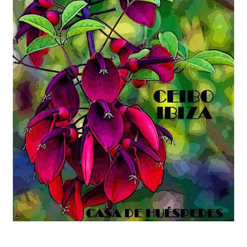 Ceibo Ibiza - Guest House