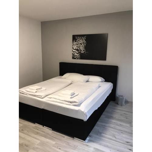 Center Apartment