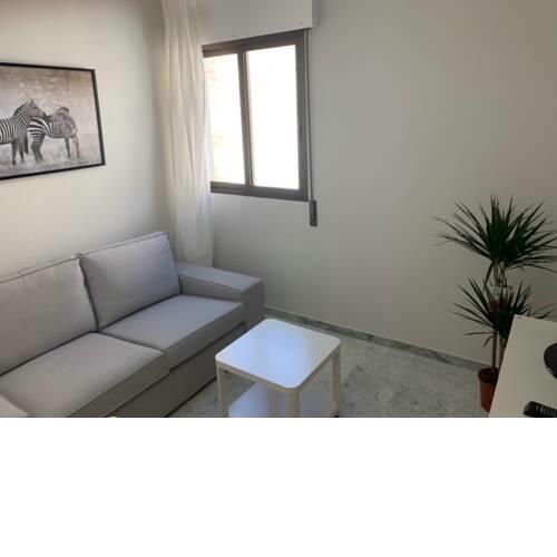 Center Flat Reyes Catolicos 2