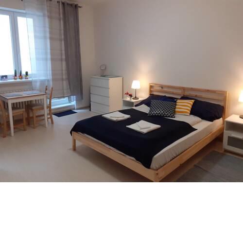 Central Prague Apartment Sokolovska