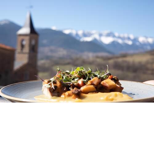 Cerdanya EcoResort