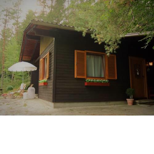Chalet Astrid