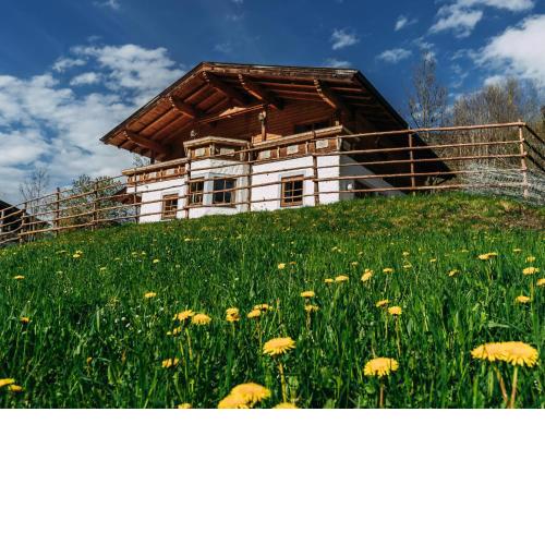 Chalet Barney XL