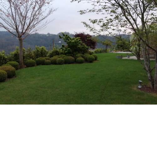 Chalet con piscina en entorno rural (Miño)