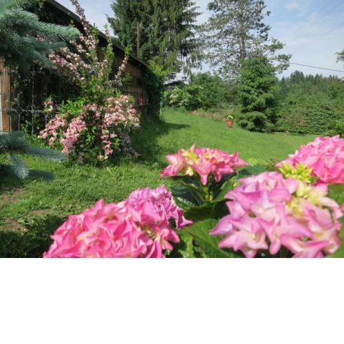 Chalet Damtschach