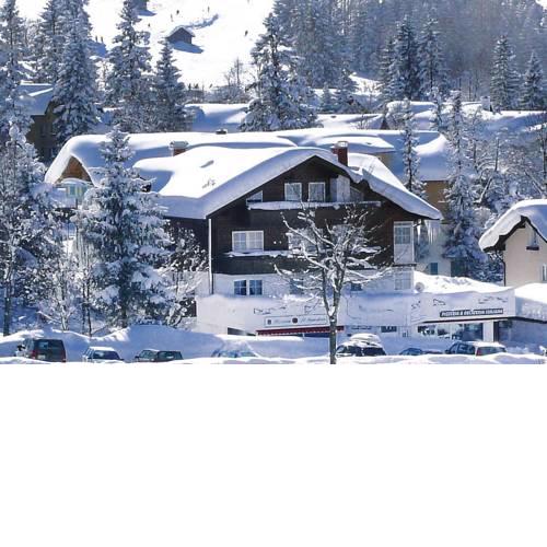 Chalet Jochpass Oberjoch - DAL01511-CYA