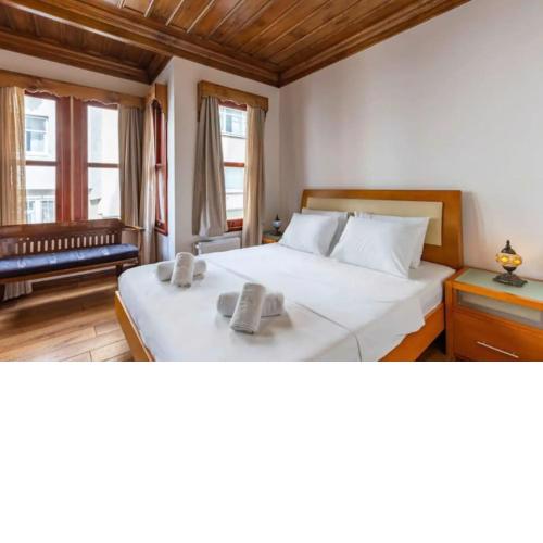 Characteristic and Wooden Fully-Equipped Flat