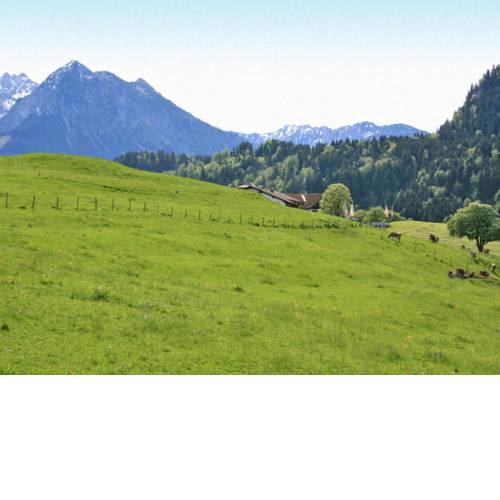 Charivari Ferienwohnungen 150S