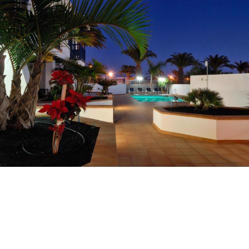 Charming 2-Bed Apartment Number 4 in Playa Blanca