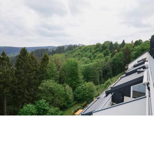 Charming apartment in Winterberg with balcony and sauna