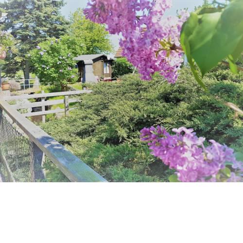 Charming Bungalow with Garden near Sea in Kuhlungsborn