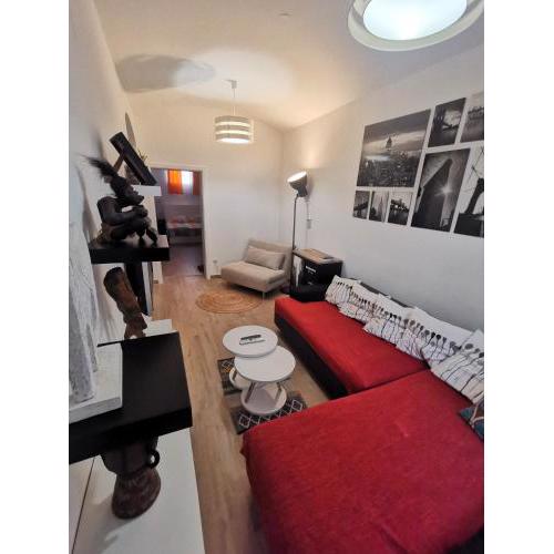Charming & Cozy Apartment in Downtown