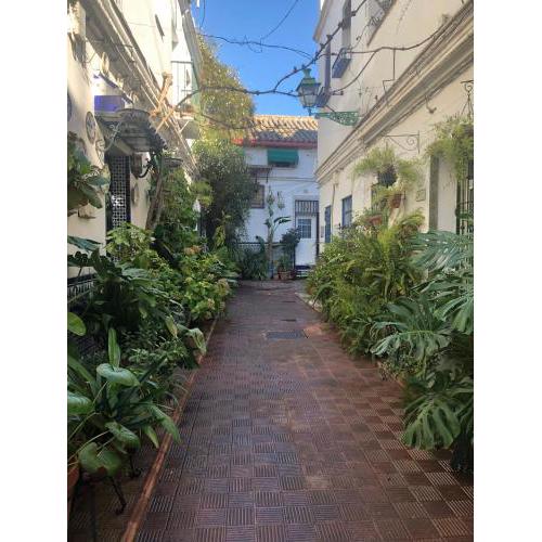 Charming House in Triana,best City View from Patio