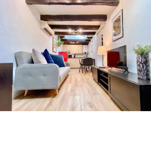 Charming Malasaña Attic