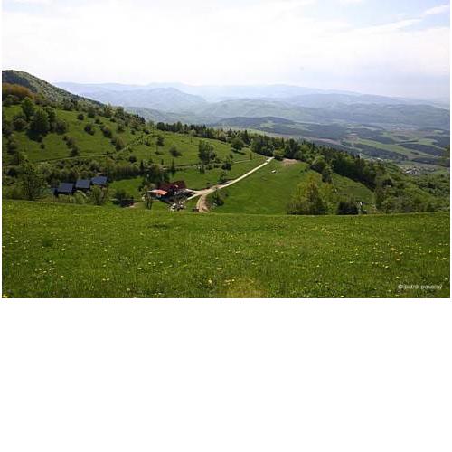 chata plese podkonice