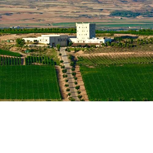 Chateau Pago De Cirsus