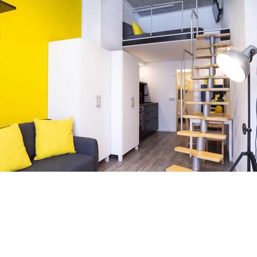 Checkpoint Charlie industrial style with loft bed