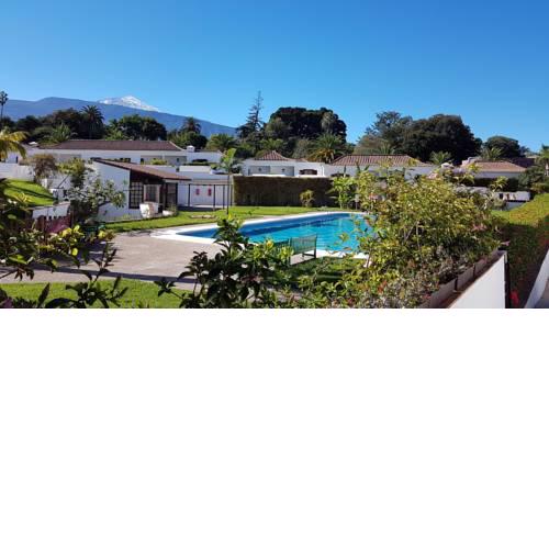 Chirping Birds & Teide View