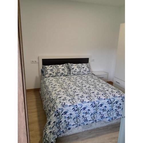 Cíes Suites Castrelos 234 - Flats with hotel services