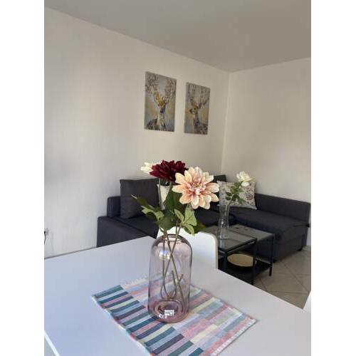 City Apartment am Rhein 4