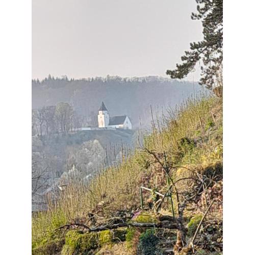 Citynahes Wohnen am Brenzpark