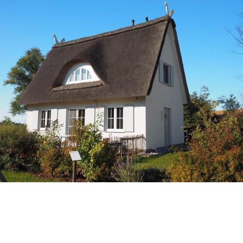 CLASSIC Ferienhaus Albatros B3 - a47655