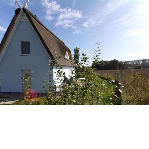 CLASSIC Ferienhaus Muschel A8 - a47649