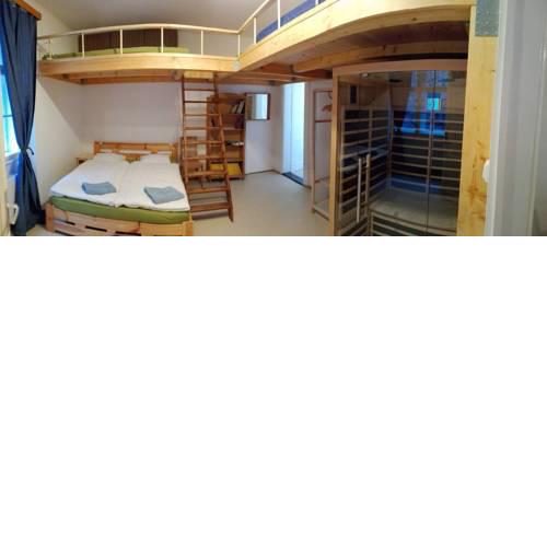 Clean and cheep apartment with infrasauna