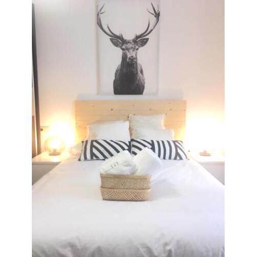 Click & Home La Vivienda Senorial Centro Cordoba