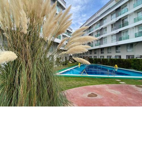 Close to the university, uniquely beautiful, secure site with pool