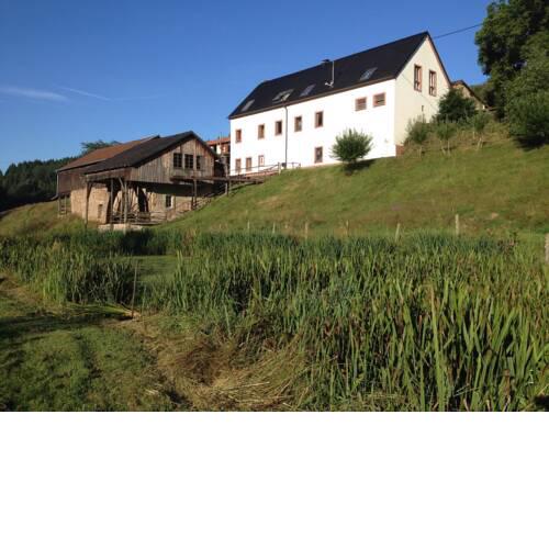 Comfortable Apartment in Meisburg Eifel near Watermill