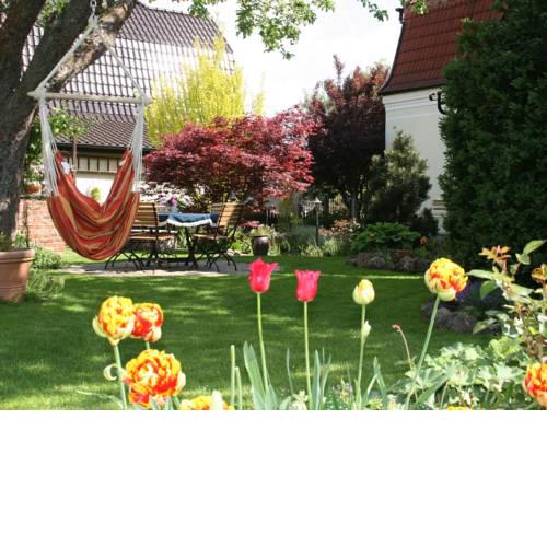 Comfortable Apartment in Nordhausen Thuringia near Lake