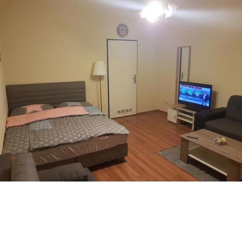 Comfortable Apartment in Vienna