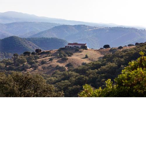 Complejo Rural Las Casas del Pantano