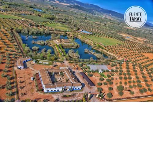 Complejo Turístico Rural Fuente Taray