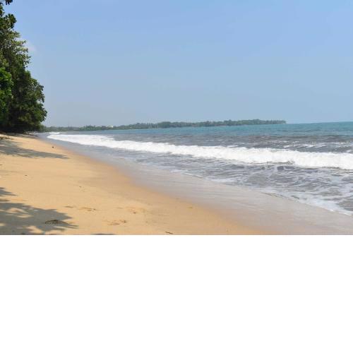 Condo In Carita - 9202B