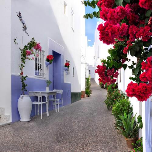 CONIL PLAYA Y FLORES