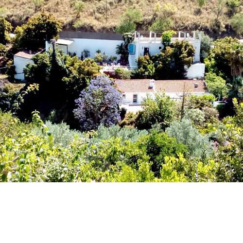 Cortijo El Oasis