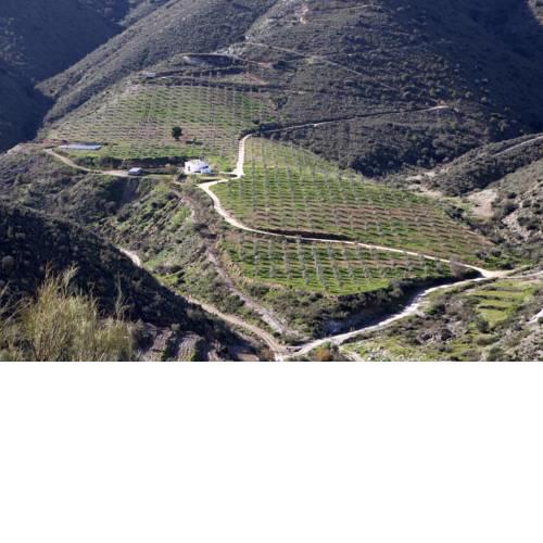 Cortijo El Rancho
