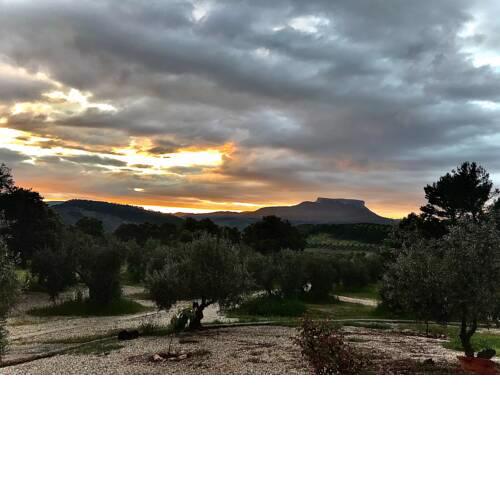 Cortijo La Ajedrea