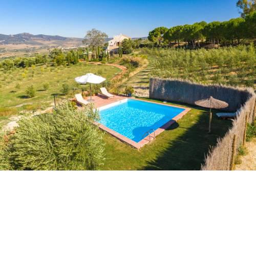 Cortijo LA Organic