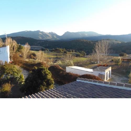 Cortijo Moyano