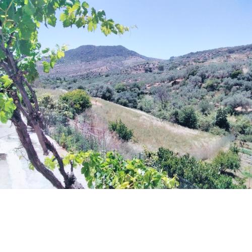 Cortijo Sabar 6